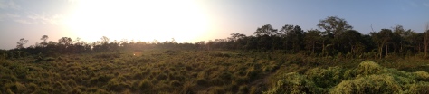 Panorama just out of the woods. We didn't see rhinos this time either but we did see a deer family 